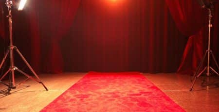 Red carpet event with celebrity posing for cameras.